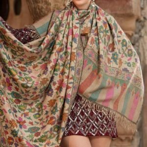 Kani Pashmina Shawls